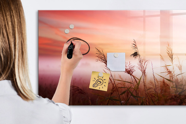 Magnetická popisovateľná tabuľa Kreatívny priestor na prezentáciu fotografií