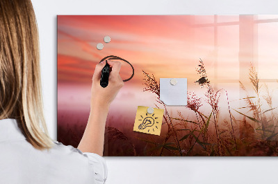 Magnetická popisovateľná tabuľa Kreatívny priestor na prezentáciu fotografií