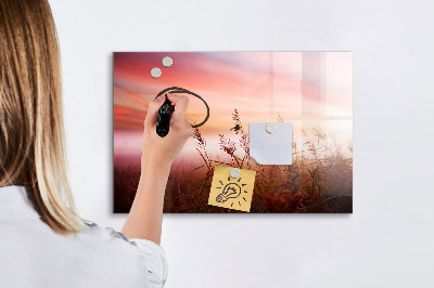 Magnetická popisovateľná tabuľa Kreatívny priestor na prezentáciu fotografií
