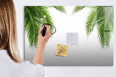 Kresliaca magnetická tabuľa Fototapeta s motívom palmy