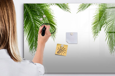 Kresliaca magnetická tabuľa Fototapeta s motívom palmy