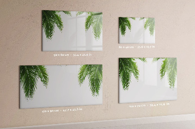 Kresliaca magnetická tabuľa Fototapeta s motívom palmy