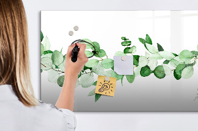 Kresliaca magnetická tabuľa Zelená tabuľa na fotografie a poznámky
