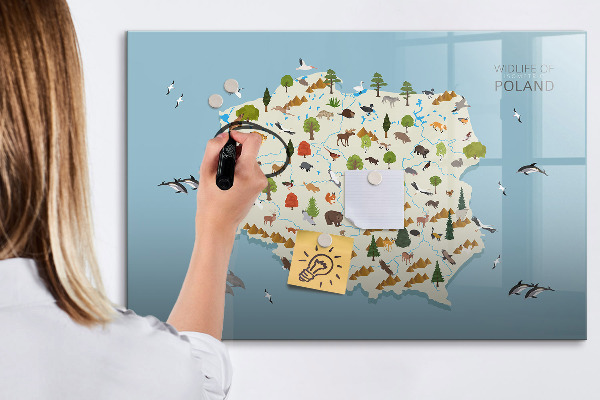 Magnetická popisovateľná tabuľa Mapa prírody Poľska s miestami na fotografie