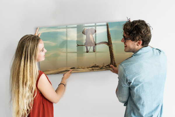 Magnetická popisovateľná tabuľa Slony a spomienky na stene