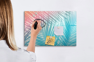 Magnetická popisovateľná tabuľa Farebná tabuľa na poznámky a fotografie