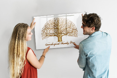 Magnetická popisovateľná tabuľa Rodokmeň s miestom na fotografie