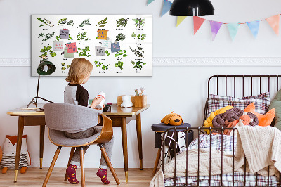 Kresliaca magnetická tabuľa Bylinky a fotografie na jednom mieste