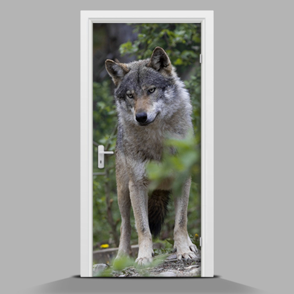 Nálepka fototapeta na dvere Vlk