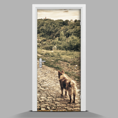 Nálepka fototapeta na dvere Pes v horách