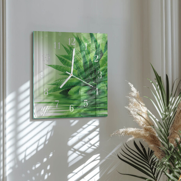 Štvorcové hodiny Aloe