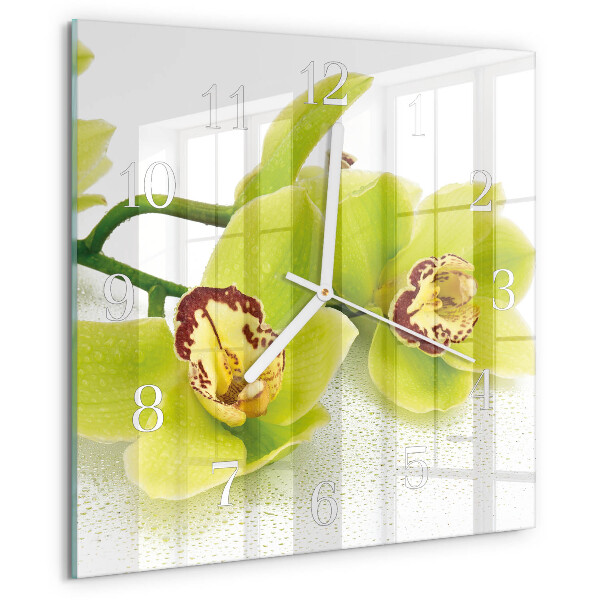 Štvorcové hodiny Orchidea