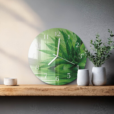 Okrúhle sklenené hodiny Aloe