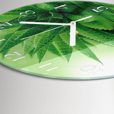 Okrúhle sklenené hodiny Aloe