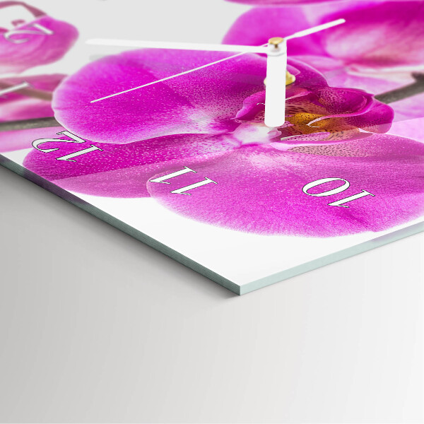 Vertikálne hodiny Orchidey