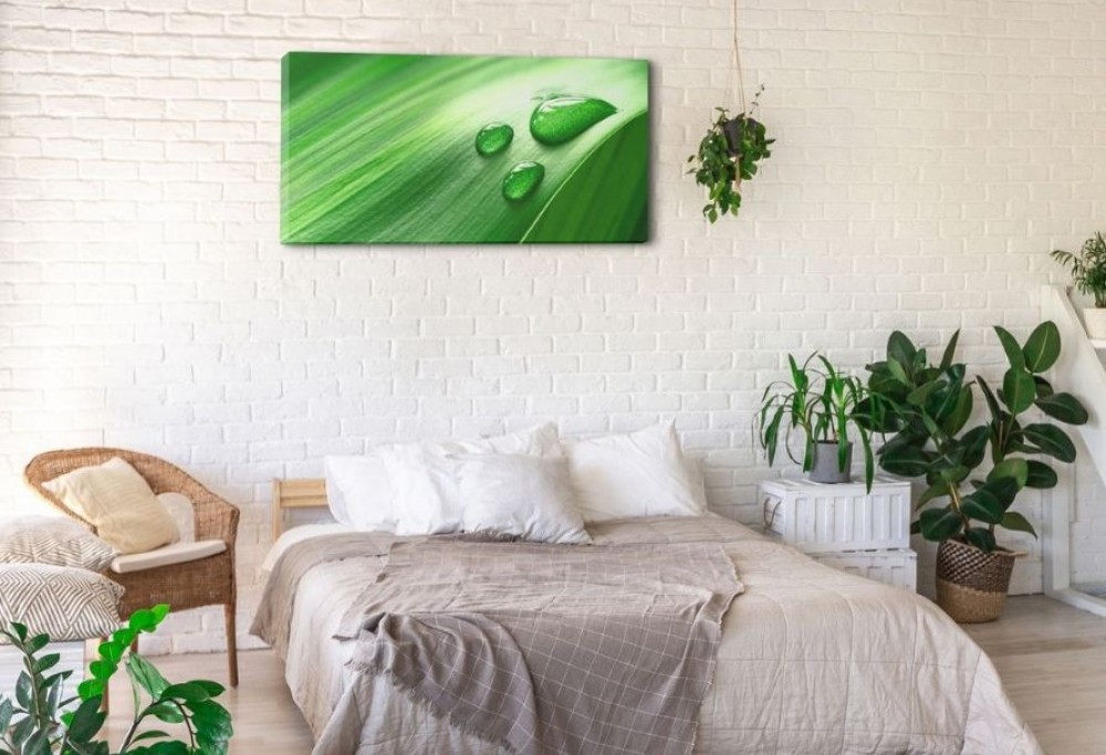 dekorácie prenajatého bytu